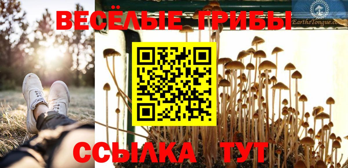 Галлюциногенные грибы прущие грибы  как найти закладки  Темрюк  Вход с VPN 